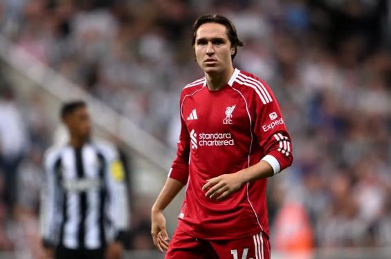 瓜迪奥拉续,约曼城,官方记者曝,明发彩票开奖查询,开奖结果,互动预测平台,实时开奖,手机开奖查询